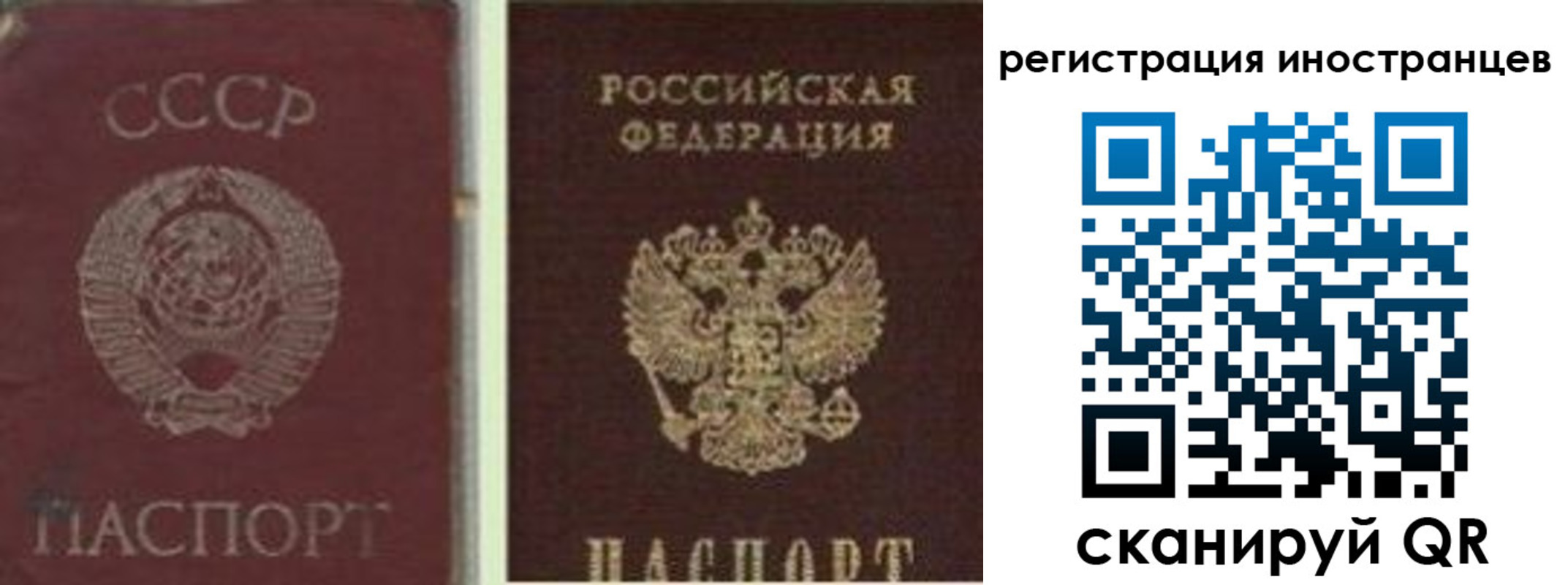 прописка иностранных граждан в Таганроге
